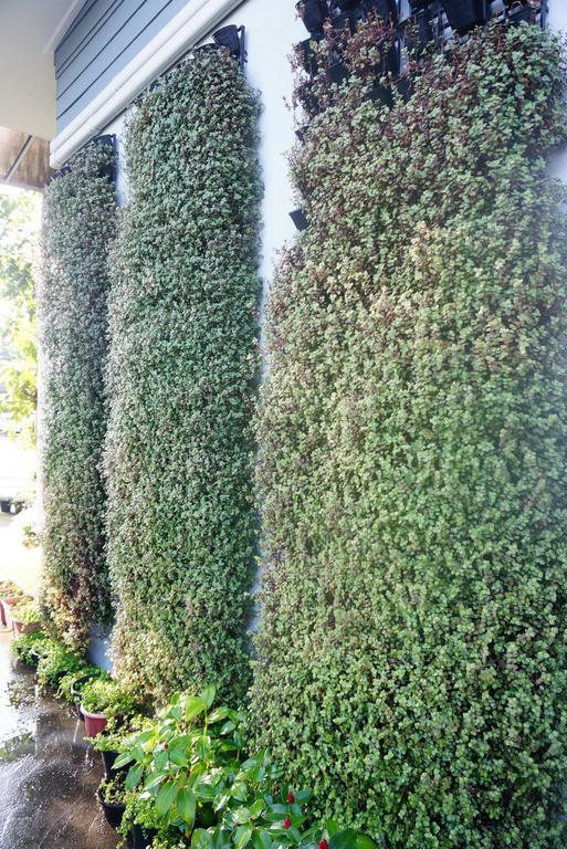 The Rhea Hotel Udon Thani Luaran gambar